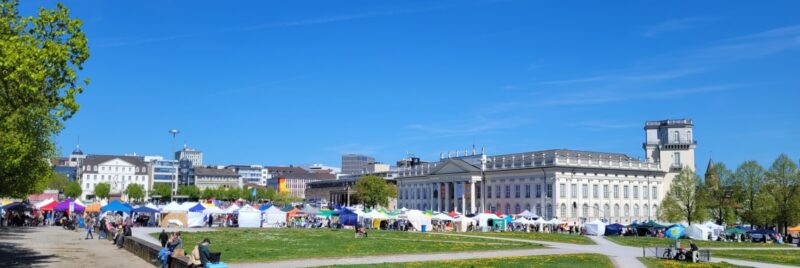 Ein sonniger Markt im Freien mit bunten Zelten, die auf einer Rasenfläche aufgestellt sind. Menschen spazieren umher und sitzen auf dem Rasen. Im Hintergrund sind ein großes, weißes historisches Gebäude, Bäume und ein strahlend blauer Himmel zu sehen.